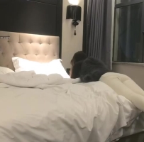 白色紧身牛仔裤高个美女，极品身材镜头前撅屁股口交，美腿翘臀，温柔配合