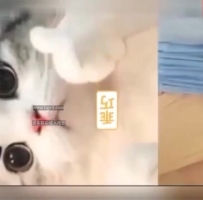 ★猥琐男跟亲姐乱伦半年 连哺乳期都不放过